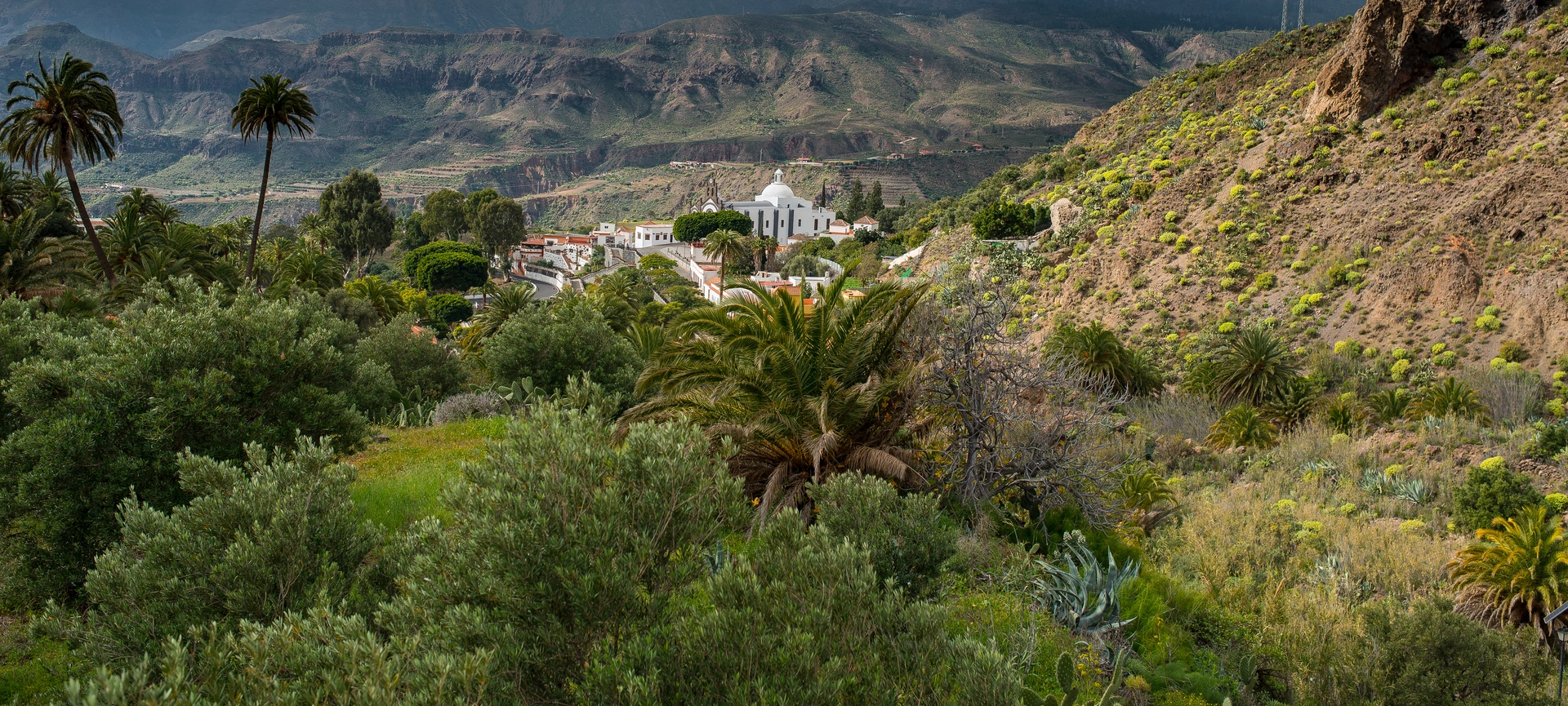 Casco de Santa Lucía entre el palmeral y las montañas